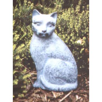 Chat assis