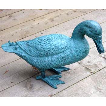 Canard debout