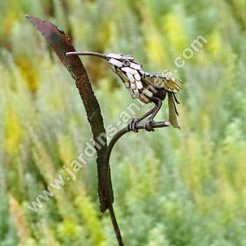 Tuteur colibri