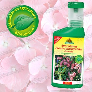 Anti Chlorose Ferramin Neudorff 250ml Bio