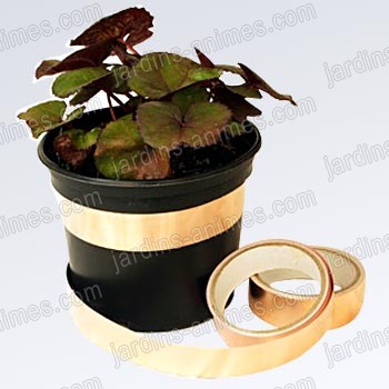 Anti limaces ruban autocollant en cuivre