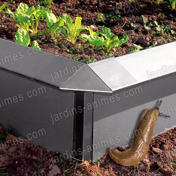 Anti limaces & escargot Carr� potager 1m2