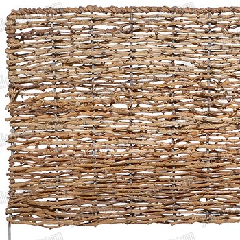 Bordure de jardin haute palme