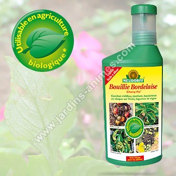 Bouillie-bordelaise