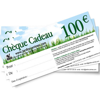 Ch�que Cadeau 100 euros