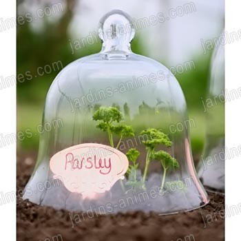 2 Cloches de jardin en verre 25cm