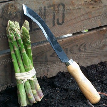Couteau � asperges acier carbone