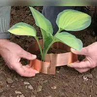 Anti limaces bandes de cuivre, Lot de 5 bandes de 59cm  Anti limaces bandes de cuivre, Lot de 5 bandes de 59cm