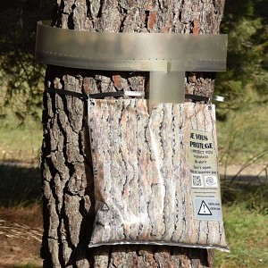Lien vers un produit variante ou accessoire : Eco Piège chenille processionnaire du pin D.30cm