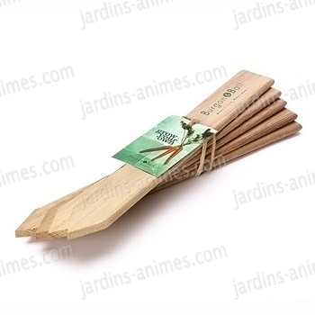 Etiquettes g�antes en bois FSC x5