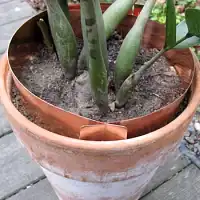 Anti limaces bandes de cuivre, Lot de 5 bandes de 59cm  Anti limaces bandes de cuivre, Lot de 5 bandes de 59cm