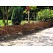 Bordure de jardin arche palme
