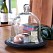 2 Cloches de jardin en verre 25cm