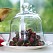 2 Cloches de jardin en verre 25cm