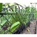 Bordure de jardin d�co acier