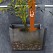 Jardin vertical 1 poche
