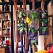 Jardin vertical 1 poche