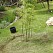 Barri�re Anti-Rhizome Bambou 3x0.73m Bidim