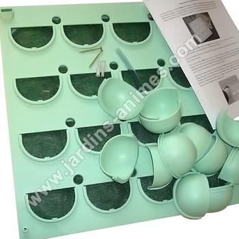 Mur v�g�tal Flowall vert tilleul