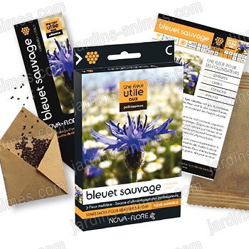 Fleur utile aux pollinisateurs - Graine de Bleuet Sauvage