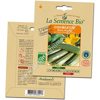 Courgette Black Beauty graine semence bio