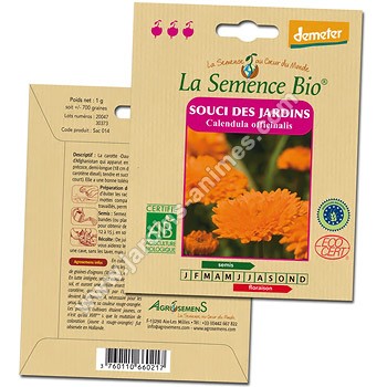 Souci des Jardins graine semence bio