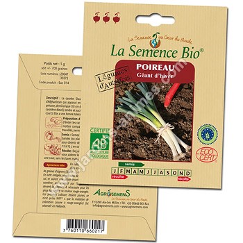 Poireau Géant d'hiver graine semence bio