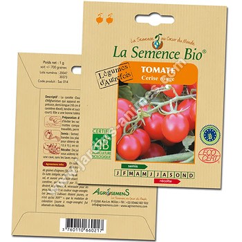 Tomate Cerise Rouge graine semence bio