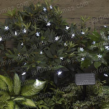 Guirlande lumineuse solaire 50 LEDs