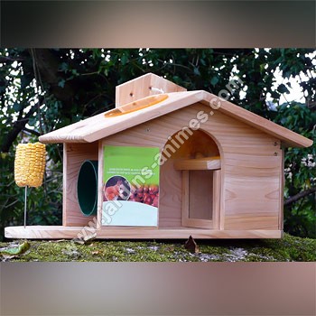 Ecureuil Maison