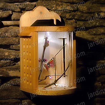 Maison observation des insectes solaire
