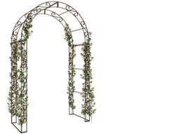 Arche de jardin à la forme arrondie
