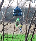 cloche pour suspendre une boule de graisse pour donner � manger aux oiseaux