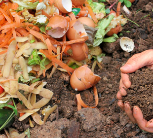 Vos déchets de cuisine vont produire un compost d'excellente qualité