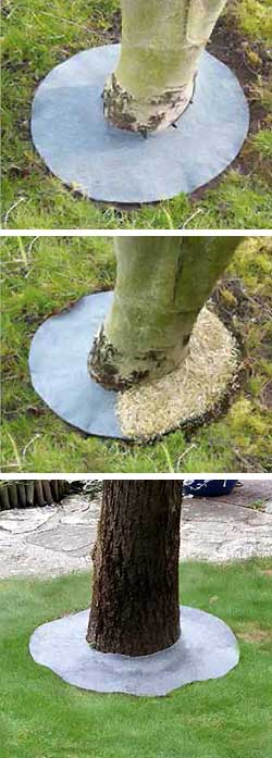 protège les pied de vos arbres et réduit les besoins d'eau nécessaires 