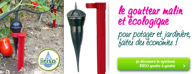 Arrosage IRISO goutte � goutte pour potager et jardini�res