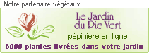 Partenaire plantes de jardin : Jardin du pic vert