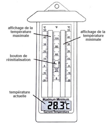 Thermomètre de jardin enregistrant température maximale et minimale