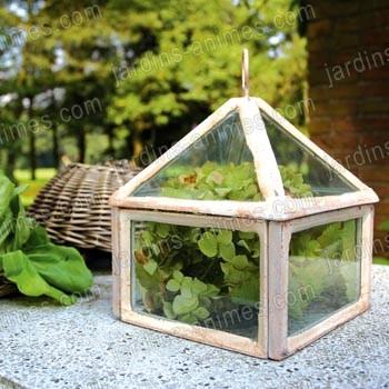 Mini serre blanche antique