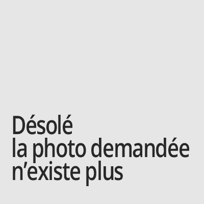 Corbeille suspendue Palme