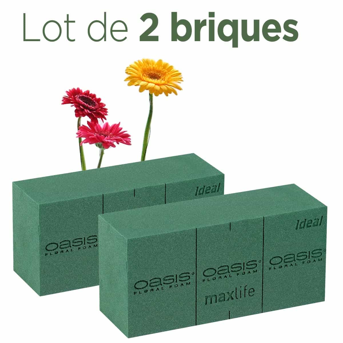 Brique De Mousse Florale OASIS Lot De 2 Plantes Fleurs Et Mousses