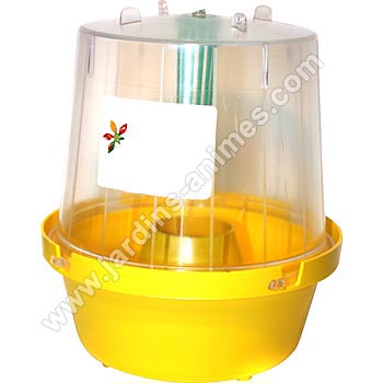 Pi�ge mouche contre mouche cerise ou fruits