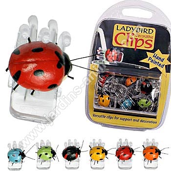 Pinces d�coratives Coccinelle Orchid�e x6