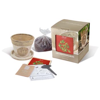 Pot de menthe - coffret
