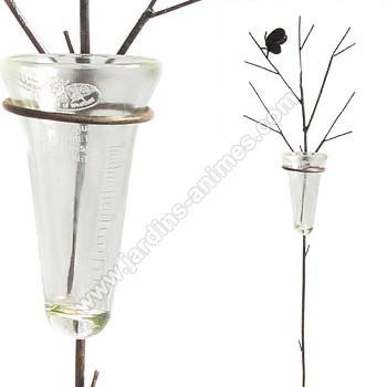 Pluviom�tre en verre papillon