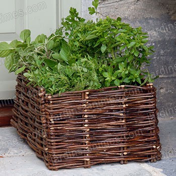 Potager Balcon Aromatiques 19L