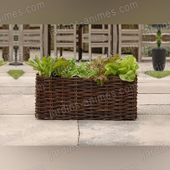 Potager Rebord de Fenetre 15L