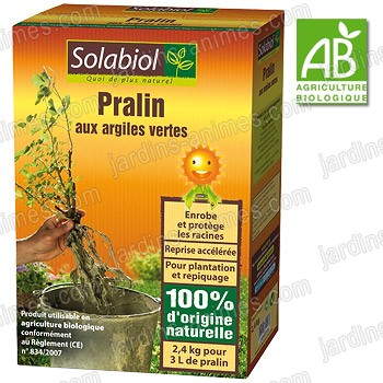 Pralin aux Argiles Vertes 2.4kg Agriculture Bio