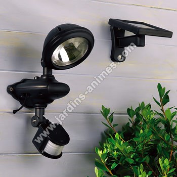Projecteur-solaire-