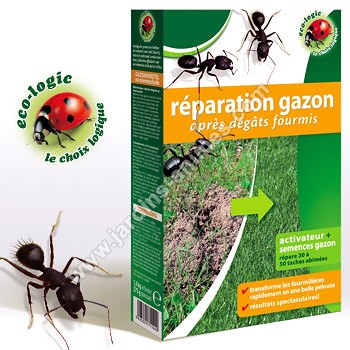 Kit R�paration Gazon fourmis